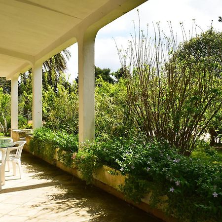 La Cecia - Casa Vacanze Nella Campagna Salentina Cavallino di Lecce Eksteriør bilde