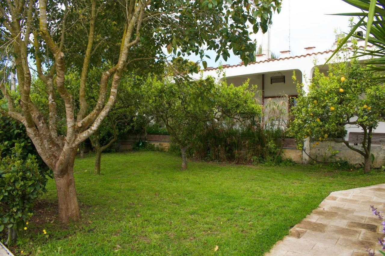La Cecia - Casa Vacanze Nella Campagna Salentina Cavallino di Lecce Eksteriør bilde