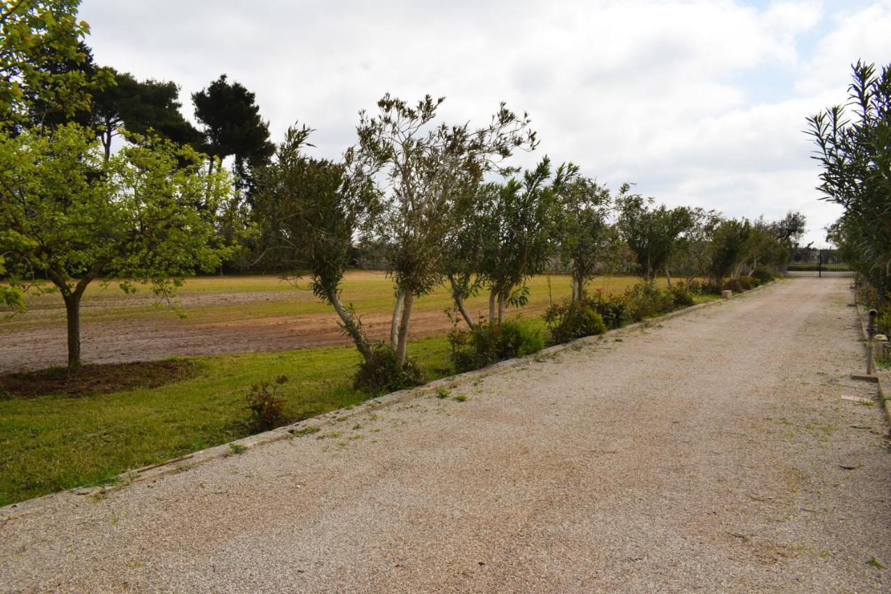La Cecia - Casa Vacanze Nella Campagna Salentina Cavallino di Lecce Eksteriør bilde